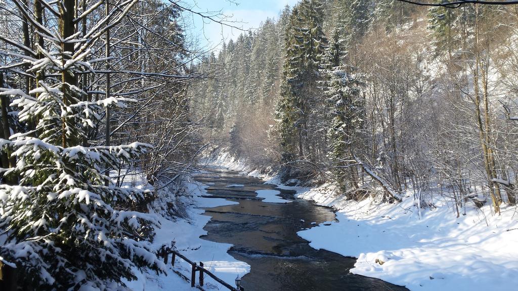 Homestay Srebrny Potok Zakopane Luaran gambar